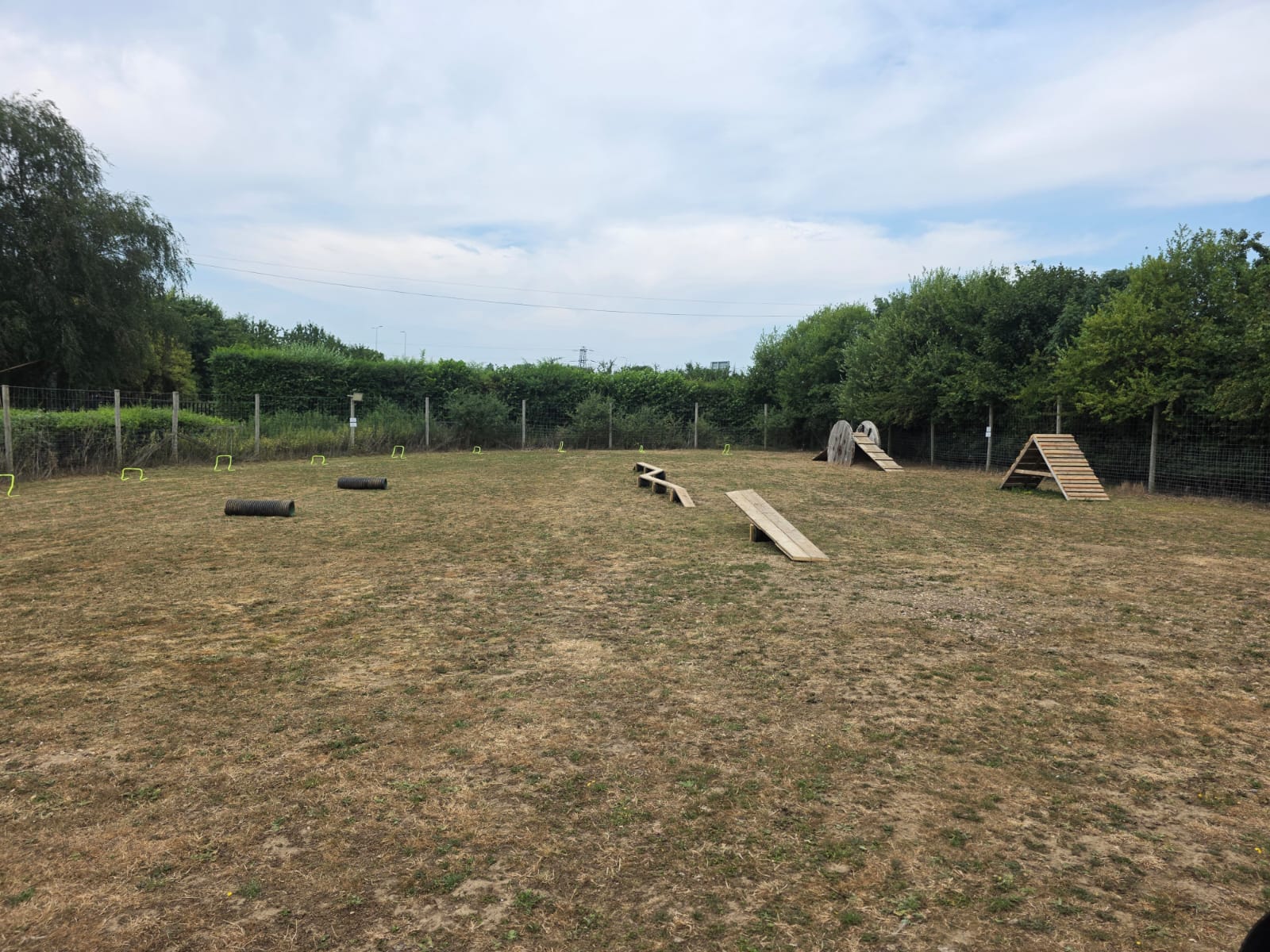 Picture 1